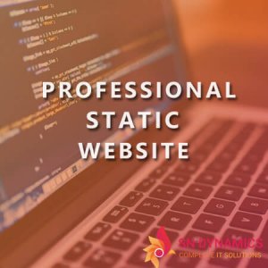 professional-static-website