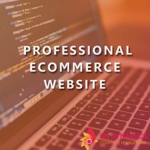 professional-ecommerce-website